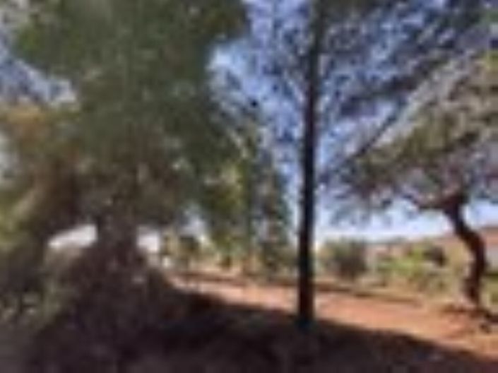 Image No.6-Land for sale