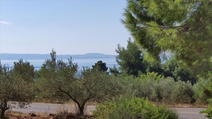 Image No.2-Terre à vendre à Halkidiki