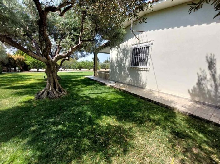 Image No.2-Land for sale