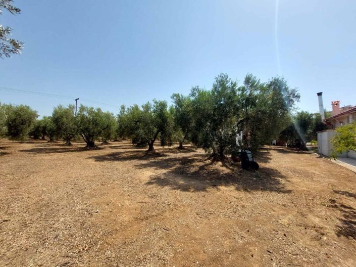 Image No.20-Land for sale