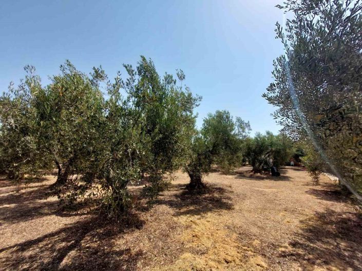 Image No.21-Land for sale