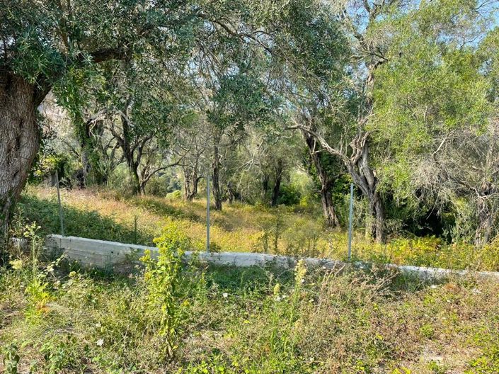 Image No.27-Propriété de 2 chambres à vendre à Pelekas