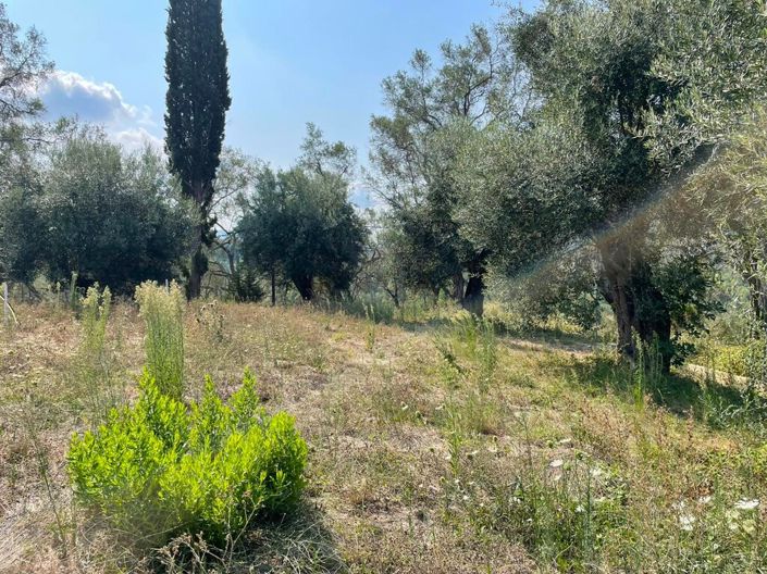 Image No.28-Propriété de 2 chambres à vendre à Pelekas