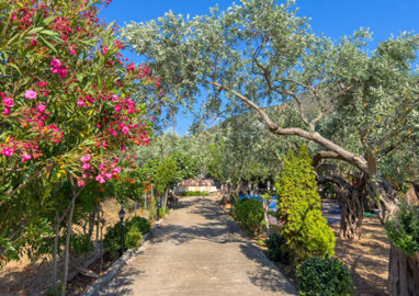 Photo 2 - Property 100 m² in Aegean islands
