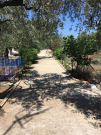 Photo 3 - Property 100 m² in Aegean islands