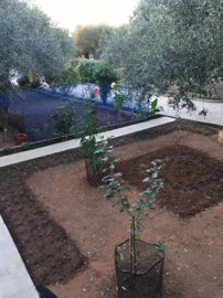 Photo 4 - Property 100 m² in Aegean islands