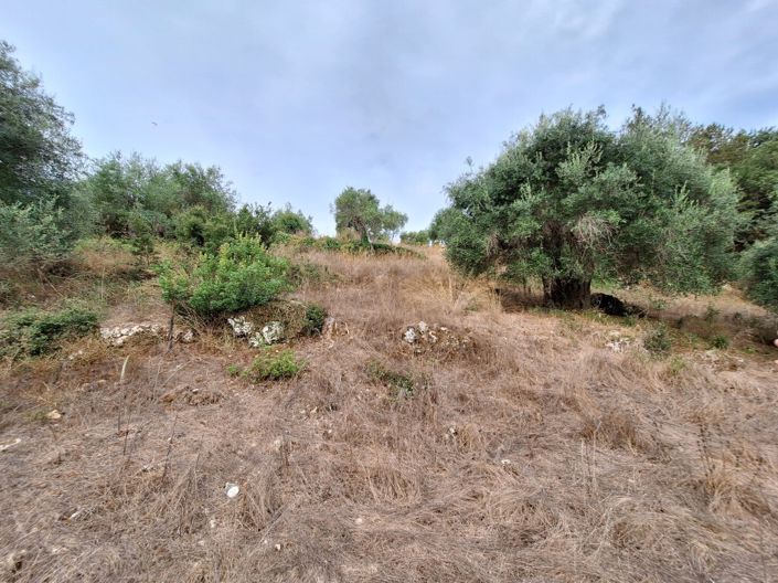 Image No.26-3 Bed Property for sale