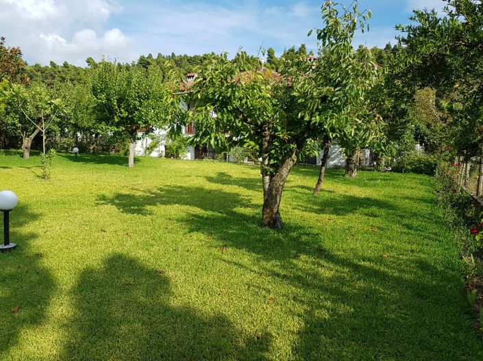 Image No.19-Propriété de 5 chambres à vendre à Halkidiki