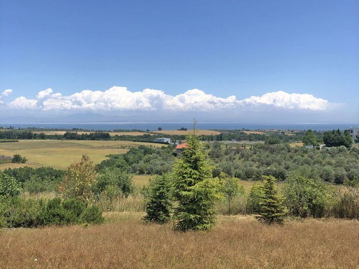 Image No.3-Land for sale