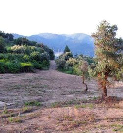 Photo 14 - Land 0 m² in Eastern Macedonia and Thrace