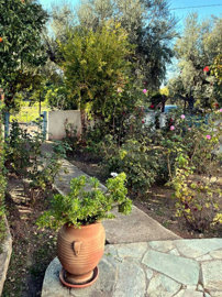 Photo 5 - Cottage 140 m² in Peloponnese