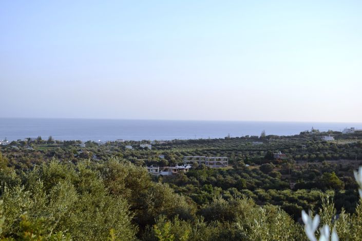 Image No.1-Terre à vendre à Crète