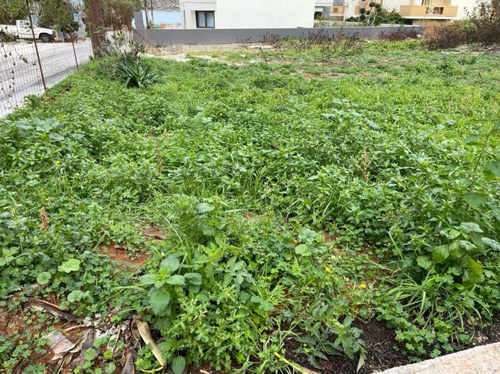 Image No.3-Land for sale