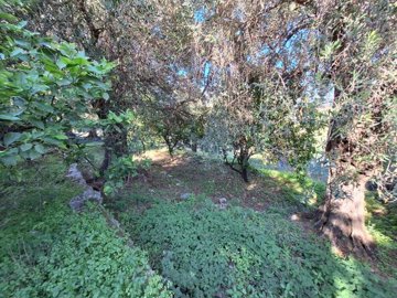Photo 15 - Townhouse 140 m² in Ionian islands