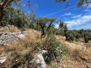 Photo 11 - Land 0 m² in Ionian islands