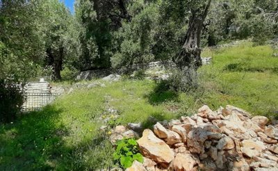 Photo 14 - Land 0 m² in Ionian islands