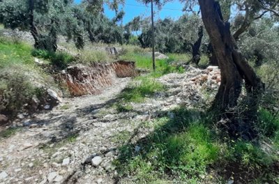 Photo 7 - Land 0 m² in Ionian islands