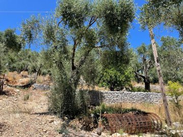 Photo 8 - Land 0 m² in Ionian islands
