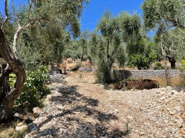 Photo 9 - Land 0 m² in Ionian islands