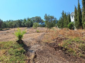 Photo 10 - Land 0 m² in Ionian islands