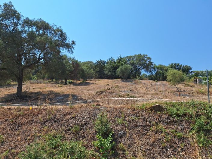 Image No.9-Terre à vendre à Acharavi