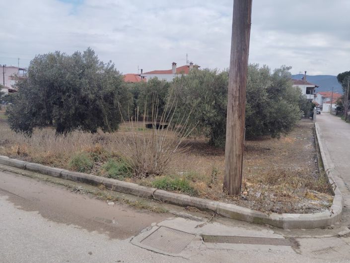 Image No.3-Terre à vendre à Halkidiki