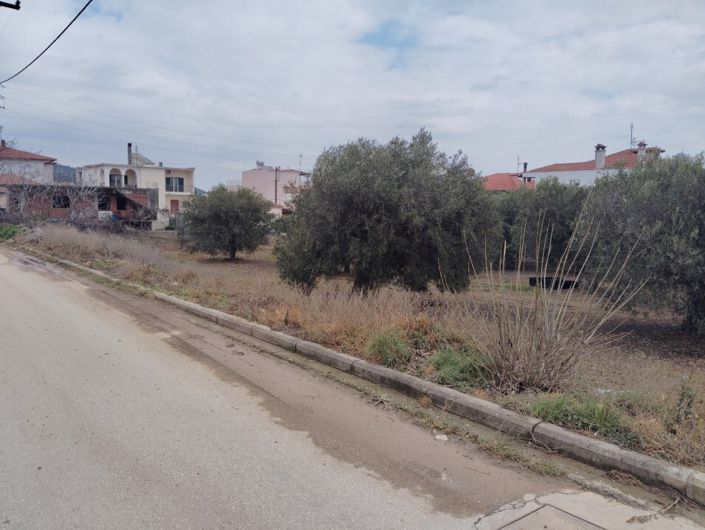 Image No.5-Terre à vendre à Halkidiki