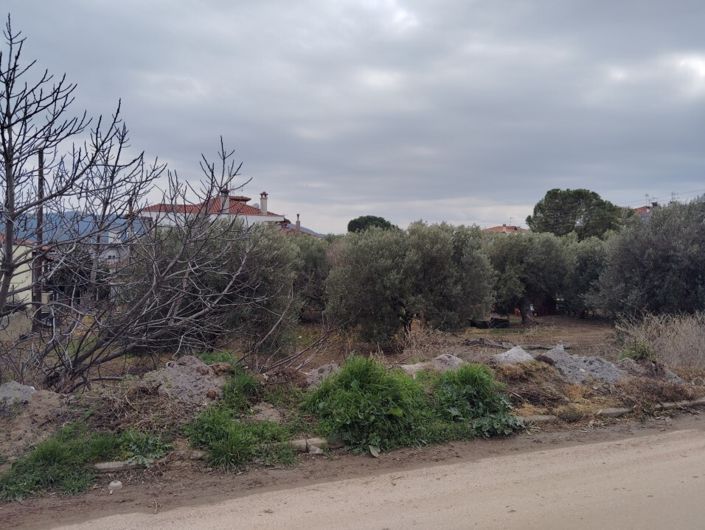 Image No.7-Terre à vendre à Halkidiki