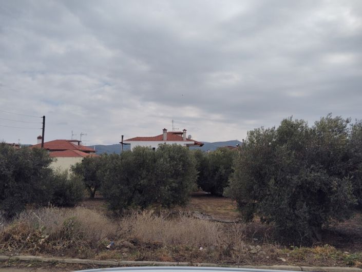 Image No.8-Terre à vendre à Halkidiki