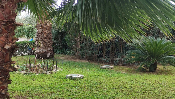 Image No.12-Appartement de 2 chambres à vendre à Vrahati