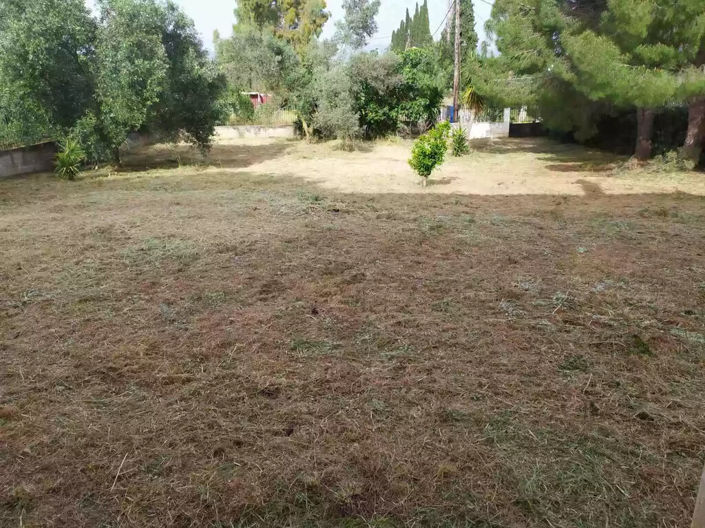 Image No.10-2 Bed Property for sale