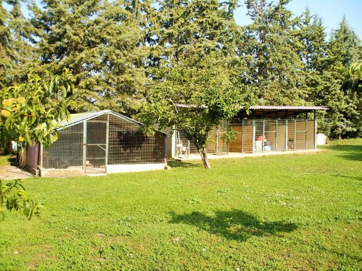 Image No.27-Propriété de 3 chambres à vendre à Halkidiki