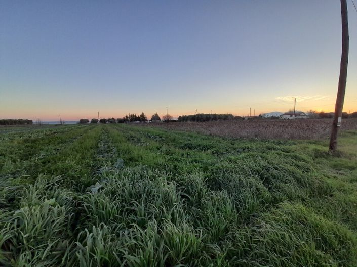 Image No.3-Land for sale