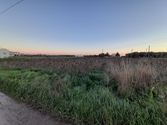 Image No.4-Land for sale