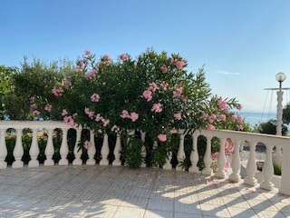 Photo 11 - Cottage 230 m² in Ionian islands