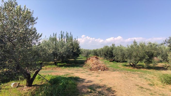 Image No.13-3 Bed Property for sale