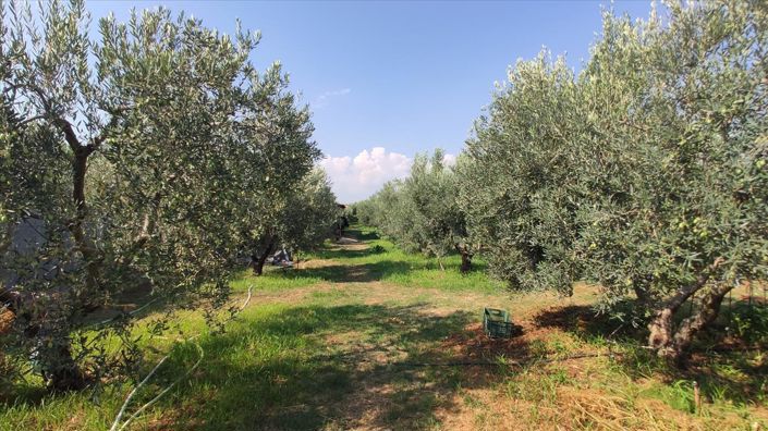 Image No.7-3 Bed Property for sale