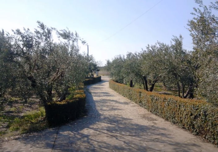 Image No.14-Propriété de 5 chambres à vendre à Halkidiki