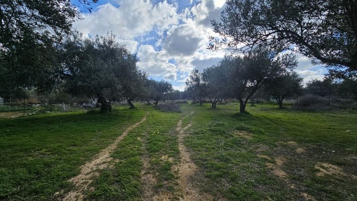 Image No.5-Land for sale