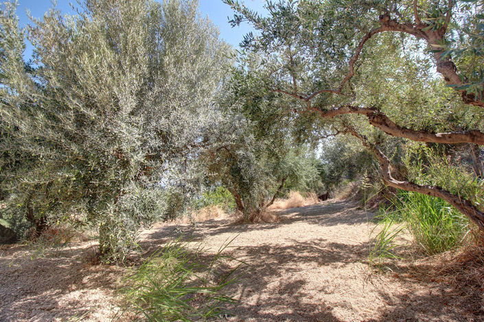 Image No.27-Propriété de 6 chambres à vendre à Stalida