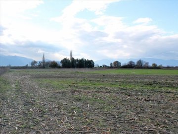 1 - Katerini, Terre