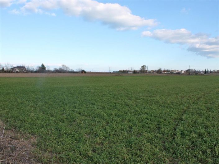 Image No.2-Terre à vendre à Katerini