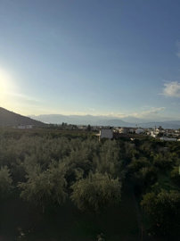 Photo 7 - Cottage 198 m² in Peloponnese