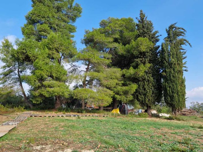 Image No.2-Terre à vendre à Gouvia