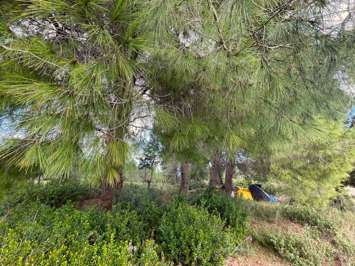 Image No.6-Terre à vendre à Gouvia