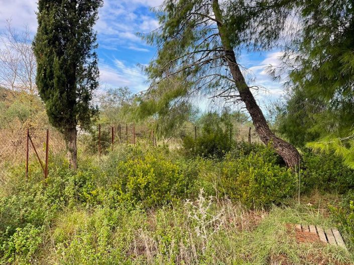 Image No.7-Terre à vendre à Gouvia