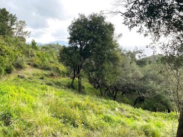 Photo 13 - Land 0 m² in Ionian Islands