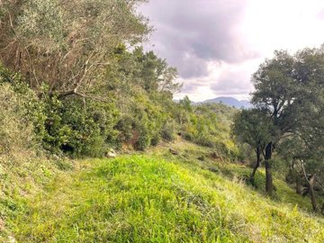 Photo 14 - Land 0 m² in Ionian Islands