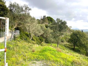Photo 11 - Land 0 m² in Ionian Islands
