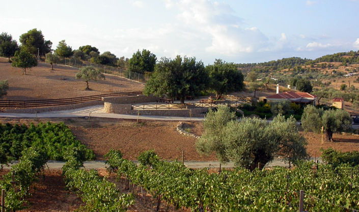 Image No.2-Land for sale